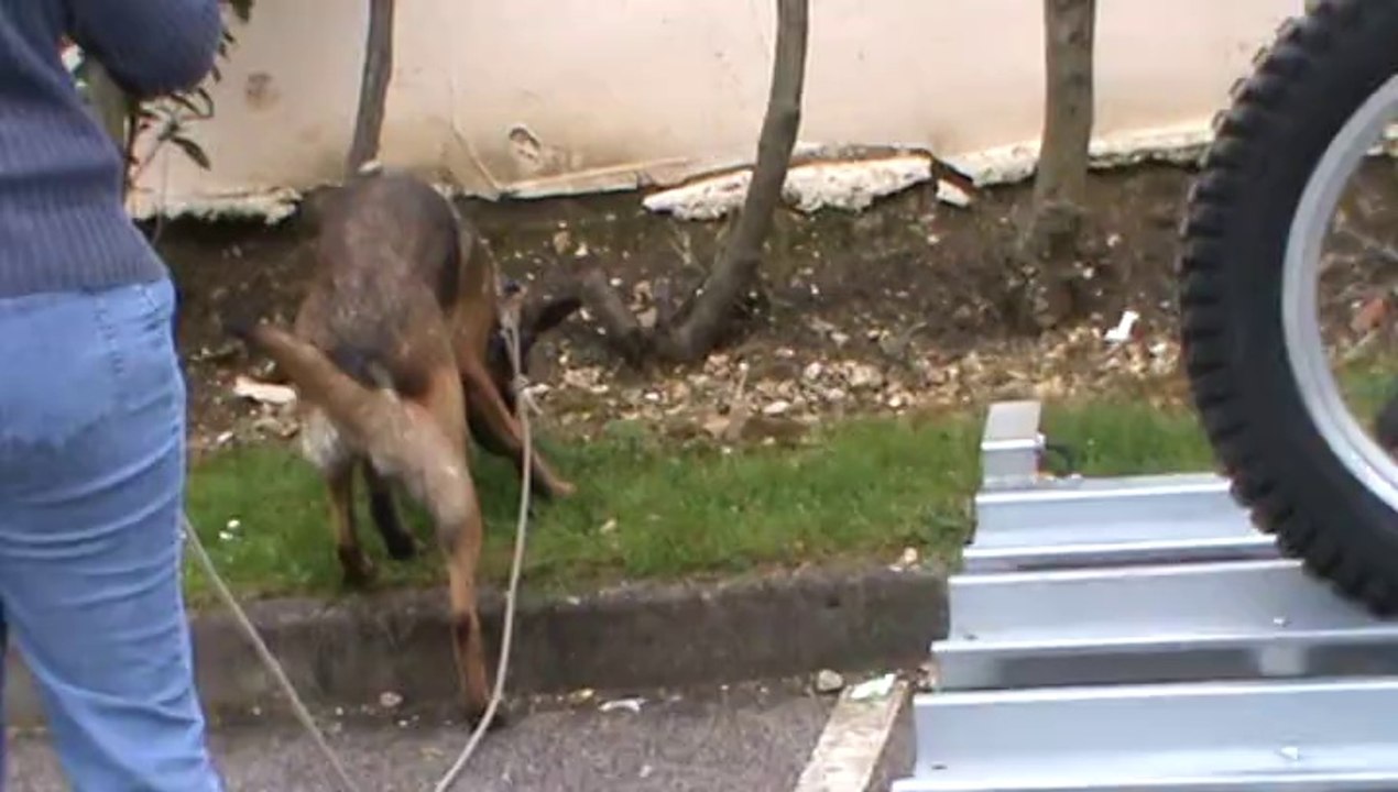 Sheyen à Mantes La Jolie