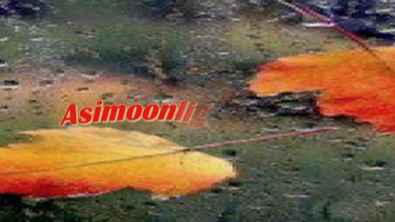 Selçuk Balcı - Çelik Bakışlı Kiz