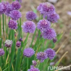 Enregistrement mobile du 28 mai 2014