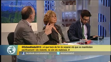 TV3 - Els Matins - Tertúlia del 29/05/14 (part 2)