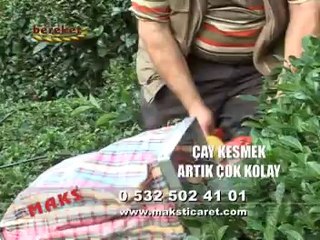 çay papatya kekik aktar cılara bidki toplama makinası