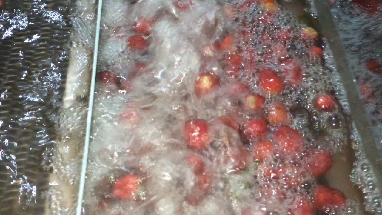 HAVALI İNCİR VE ÜRÜN YIKAMA  MAKİNASI