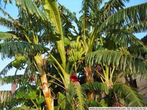 Villa for sale in Denia - Villa à vendre à Denia - Villa de lujo Denia