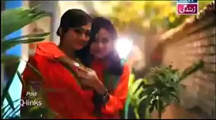 Behnein Aisi Bhi Hoti Hain - Episode 28 (29 May 2014) Full Drama On ARY Zindagi