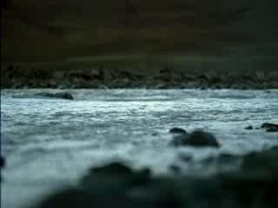 Nissan-4x4-video
