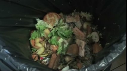 Le gaspillage alimentaire au Collège de Maistre (Savoie)