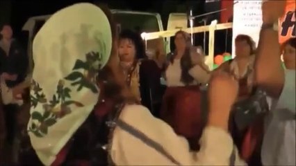 Fahriye GÜNEY - ANKARANIN BAĞLARI