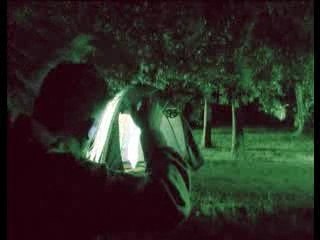 La nuit dans la fôret...