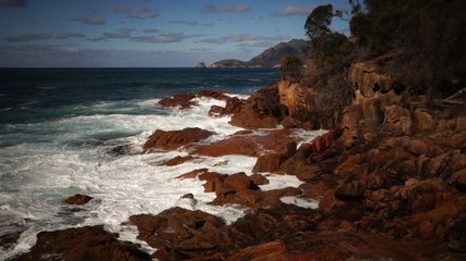 Australie-Tasmanie: La mer dans tout ces états.