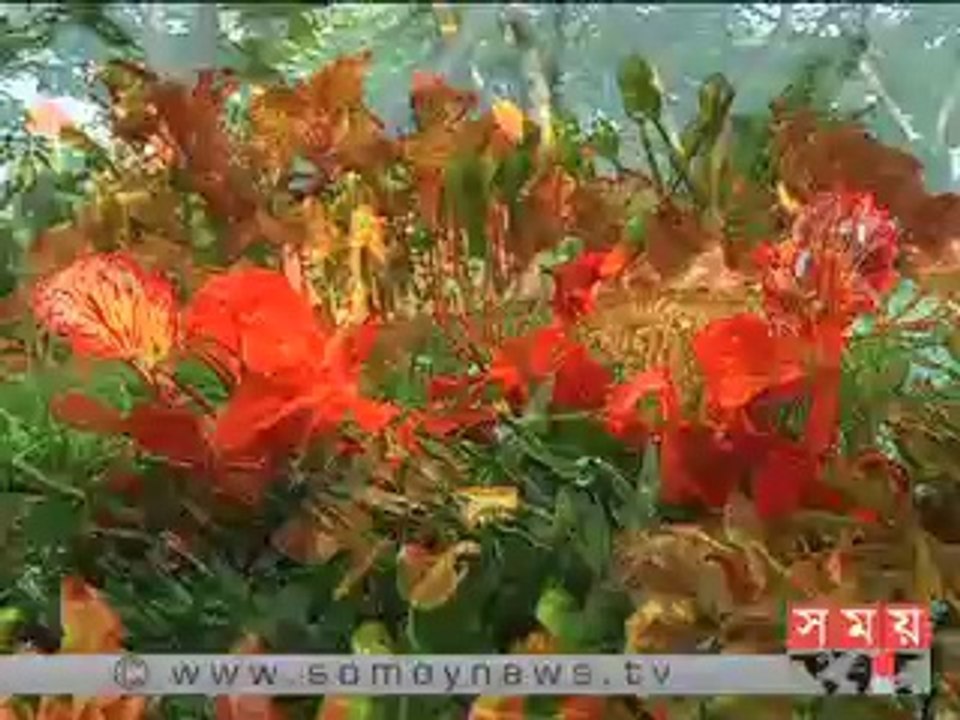 "ফুলে ফুলে, ঢলে ঢলে, বহে কি