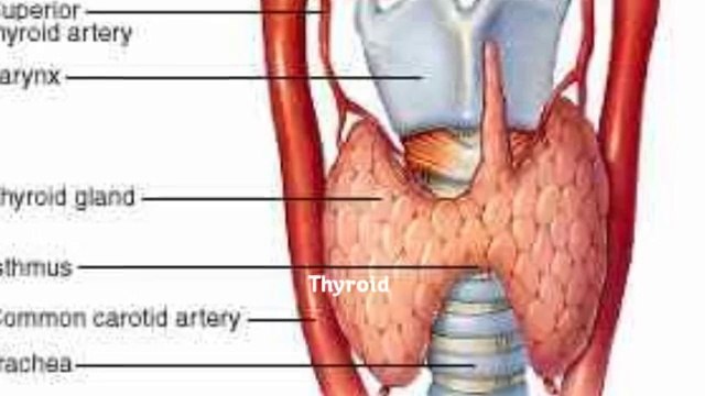 Home Based sore throat remedies
