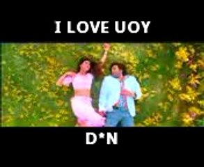 funny video kot naka