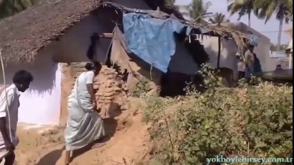 Bu da ördek çobanı