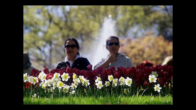 Ibrahim-ZAMAN-ISTANBUL