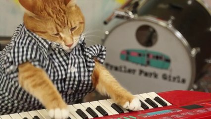 KEYBOARD CAT 96 TEARS