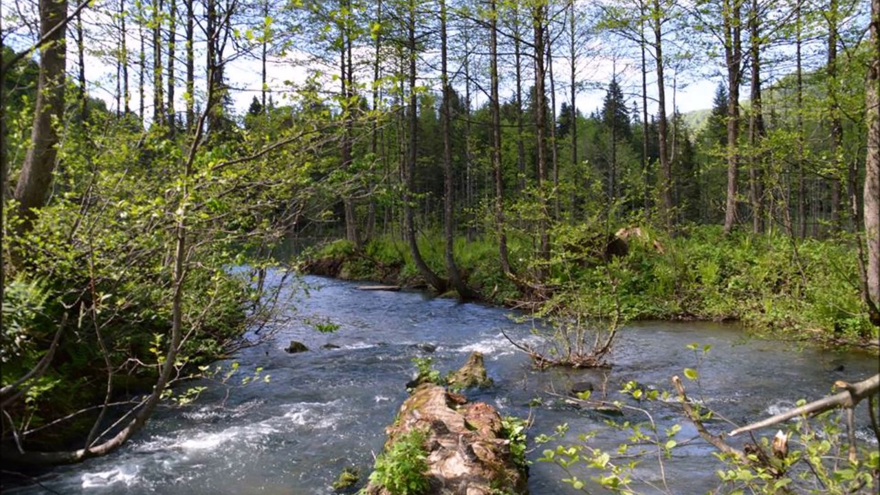 Erkan Yesilyurt-Sevdaluk Adam isi-Deniz Ölmez