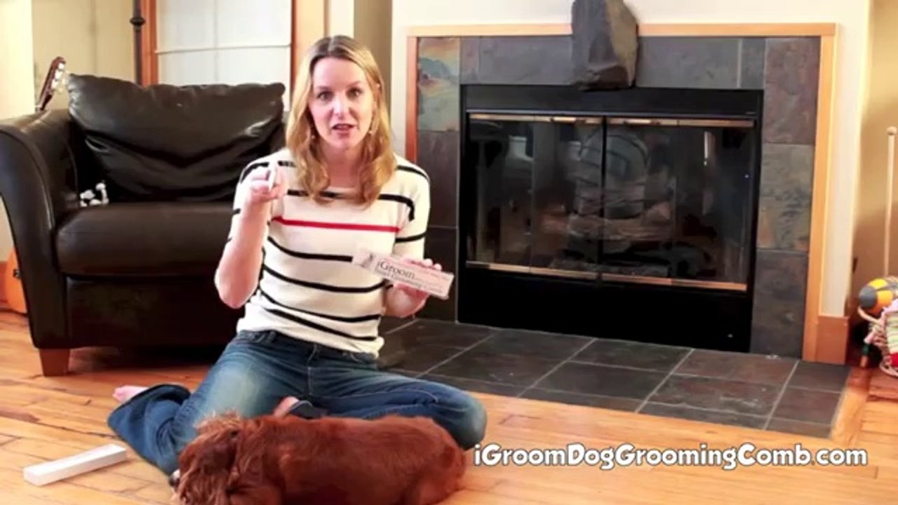 Brush And Dog ClippersCat, Dog, Horse And Pet Grooming Comb