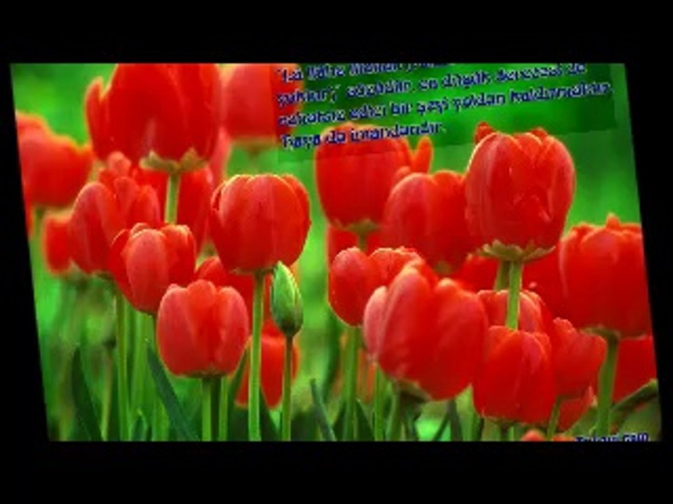 RECEP  AYİ  VE FAZİLETLERİ  4