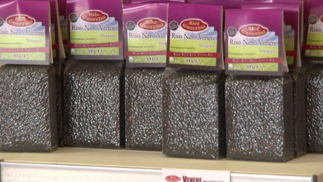 Italie: à la découverte du riz du Piémont, premier producteur européen