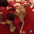 Enfants jouent avec un guépard domestique