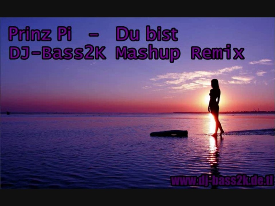 Prinz Pi - Du bist ( DJ-Bass2K Mashup Remix )