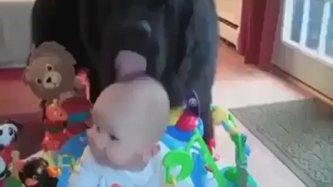 funny baby's