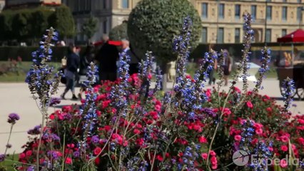 Paris Vacation Travel Guide Expedia