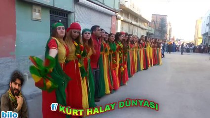 REKOR KIRAN  KÜRT DÜĞÜNÜ