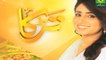Recipe of Seekh Kabab, Lagan Gosht & Zeera Chutney By Rida Aftab Part 2 | HUM Masala TV | Tarka | LivePakNews.Com