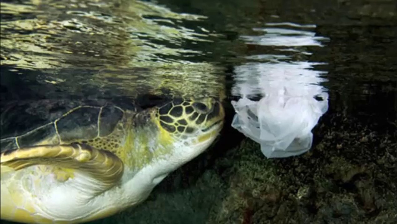 Academia Argüello video 2