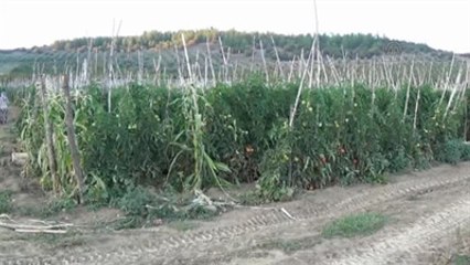 Çiftçi Kadınlar Eğitimle Ürün Kalitesini Artırdı