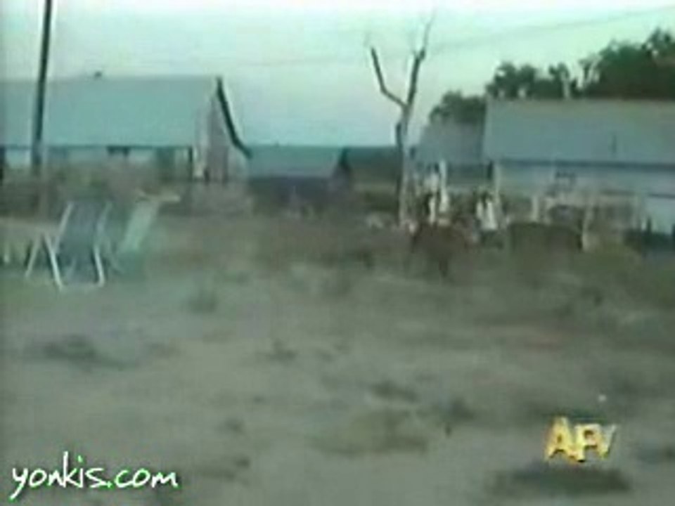 Firework (Funny)