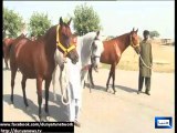 Dunya News - Asif Zardari spent time with his horses in Lahore