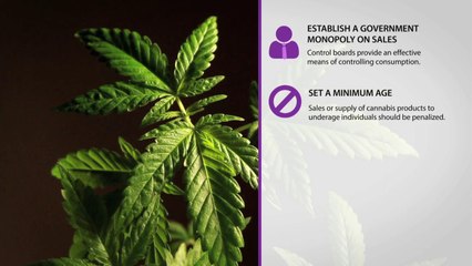 CAMH releases new Cannabis Policy Framework