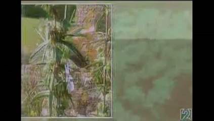 Las 4 Fuerzas que Mueven el Universo