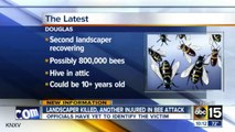 Landscaper Dies After Attack By Swarm Of 800,000 Bees