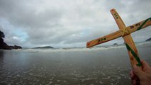 Bumerangue em pinus, na Praia do Puruba, Ubatuba, SP, Brasil, mares e rios