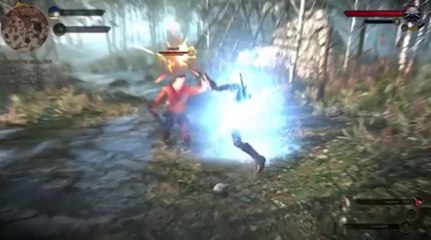 The Witcher 3 Wild Hunt (2)