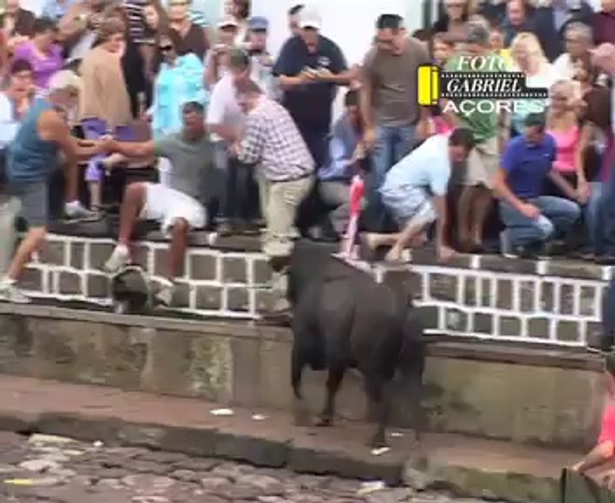 Bull Beating Peoples Bull Master,Who caught Bull Bull is Bull,,,Bull ki tabair,Bull ki Sawari,,,Bull ki fighting..,,,Bull ko pakro,,,,Zalim Bull,,,Dangerouss Bull,,,Khaternak Bull
