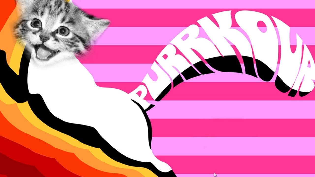 SMOOTH CAT JAZZ | PURRKOUR
