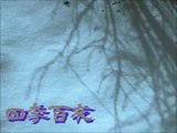 【四季百夜】冬の蛇　robin【冬】   ニコニコ動画 GINZA