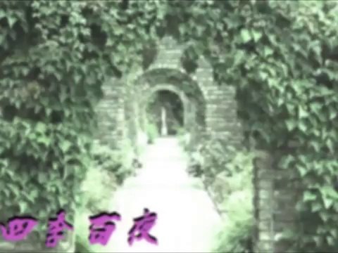 【四季百夜】迷い散歩　風穴空太郎【春】 ニコニコ動画 GINZA