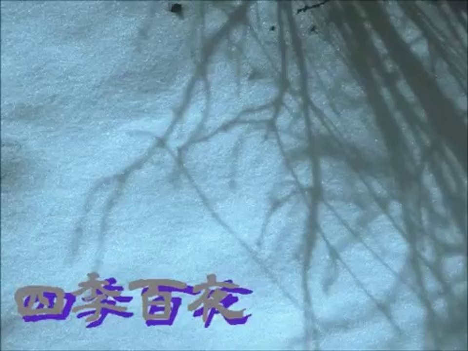 【四季百夜】冬の蛇　robin【冬】   ニコニコ動画 GINZA