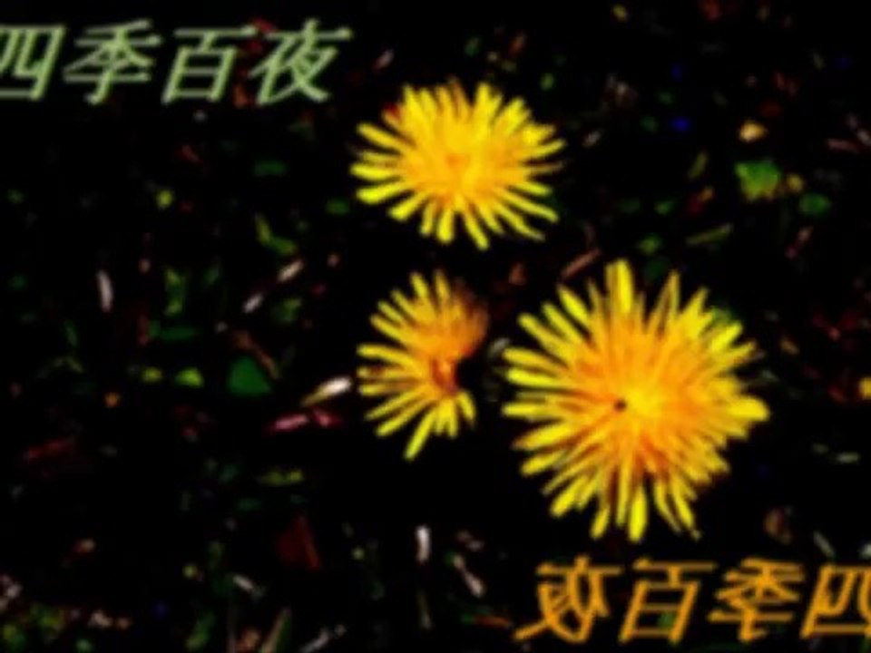 【四季百夜】味噌汁の香り　木崎祐 結城桜【春】   ニコニコ動画 GINZA