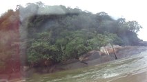 Lindo Rio do Puruba, Ubatuba, SP, Brasil, mares e rios, Natureza Selvagem