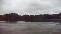 Navegando de caiaque no Rio Puruba, um sonho de rio, Ubatuba, SP, Brasil, mares e rios, Natureza Selvagem tulo