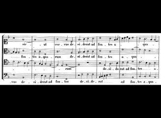 Palestrina - Sicut Cervus