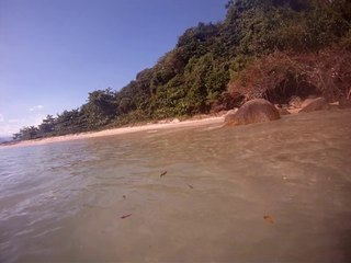 Expedição, Arquipélago do Prumirim, Natureza Marinha, Selvagem, Praias, Mares, Ubatuba, SP, Brasil, Marcelo Ambrogi,  (1)