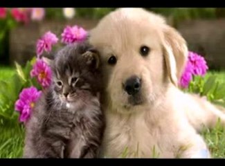 أغنية نانسي عجرم في حاجات تتحس