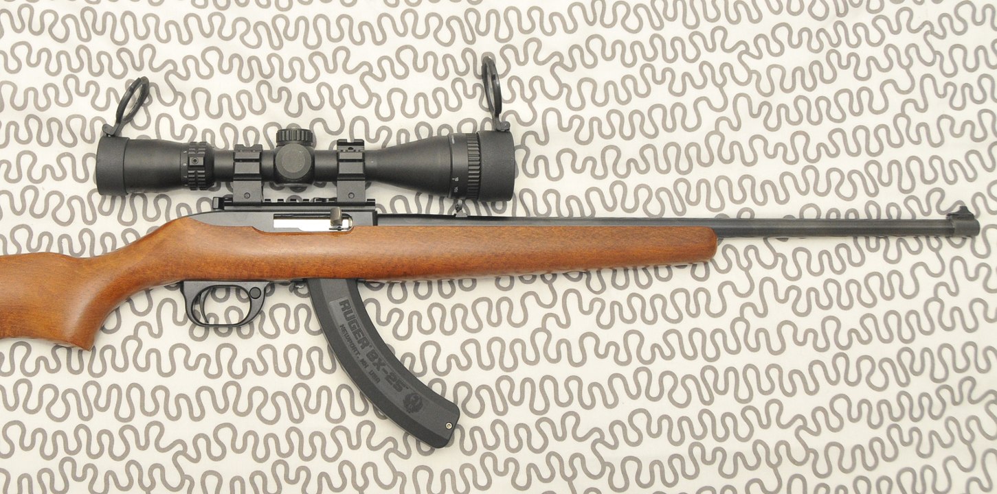 Trailer Ruger 10/22